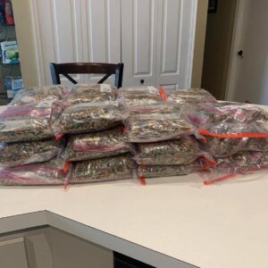 Parrot food